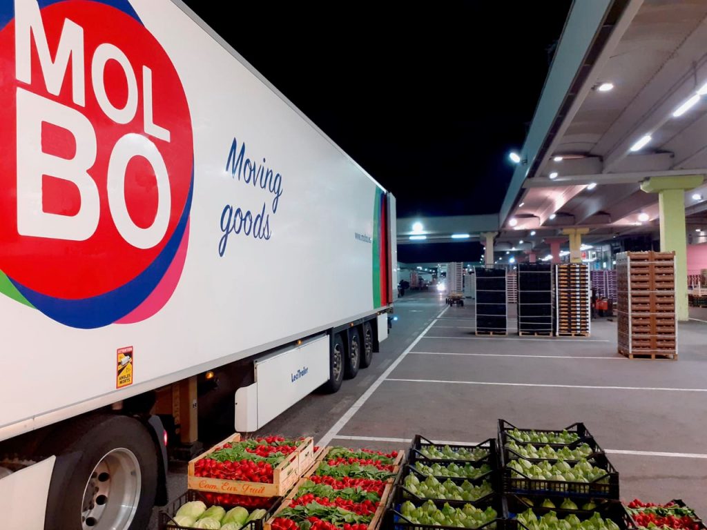 Molbo Referentes en el transporte de mercancías hortofrutícolas » Molbo ...